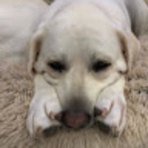 Meet your Posher, Lorena